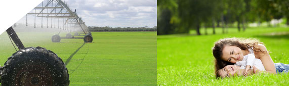 Instant Lawn, Adelaide, Adelaide Hills, Riverland
